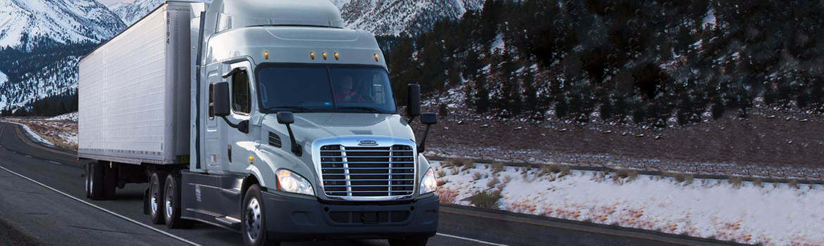 2018 Freightliner Cascadia for sale in Southport Truck Group, Tampa, Florida