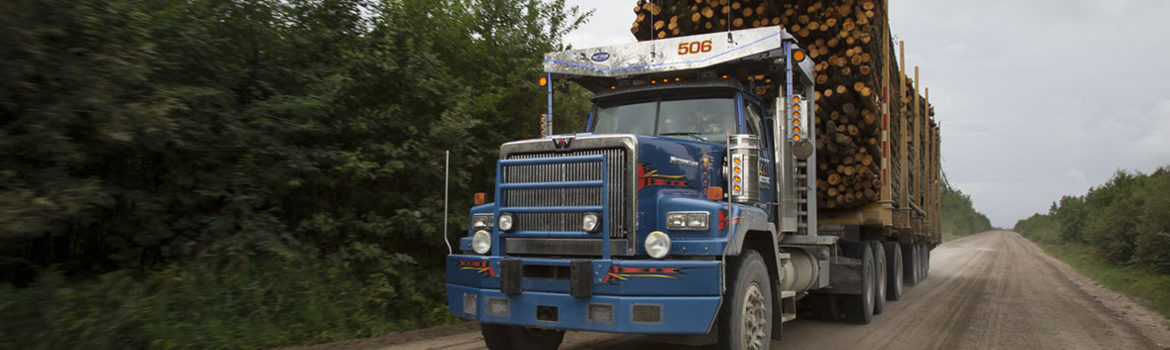 2018 Western Star 6900 for sale in Southport Truck Group, Tampa, Florida
